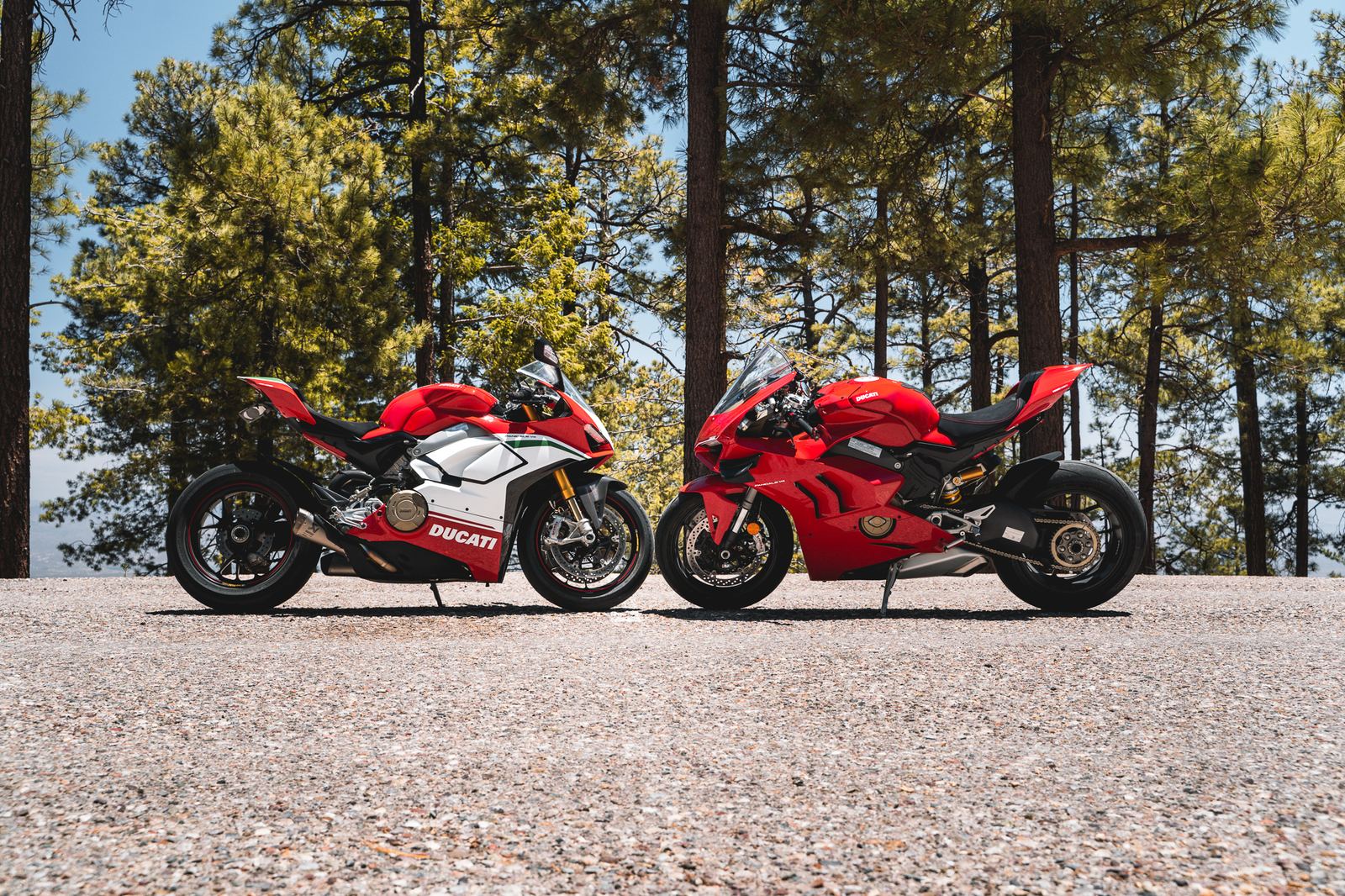 Two red Ducati Panigale V4s parked nose to nose among pine trees