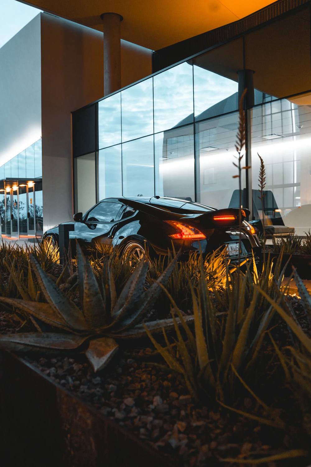 Black sports car beside agave and glass architecture